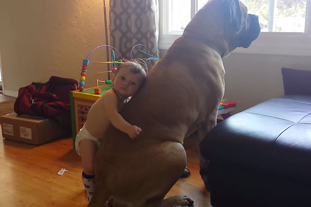 Det er ikke rart familiens hund føler seg elsket når han får klem av minstesønnen.