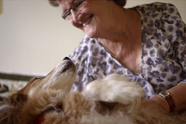 Hunden til Maureen visste at noe var galt. Etter å ha undersøkt brystene skjønte hun hvorfor.