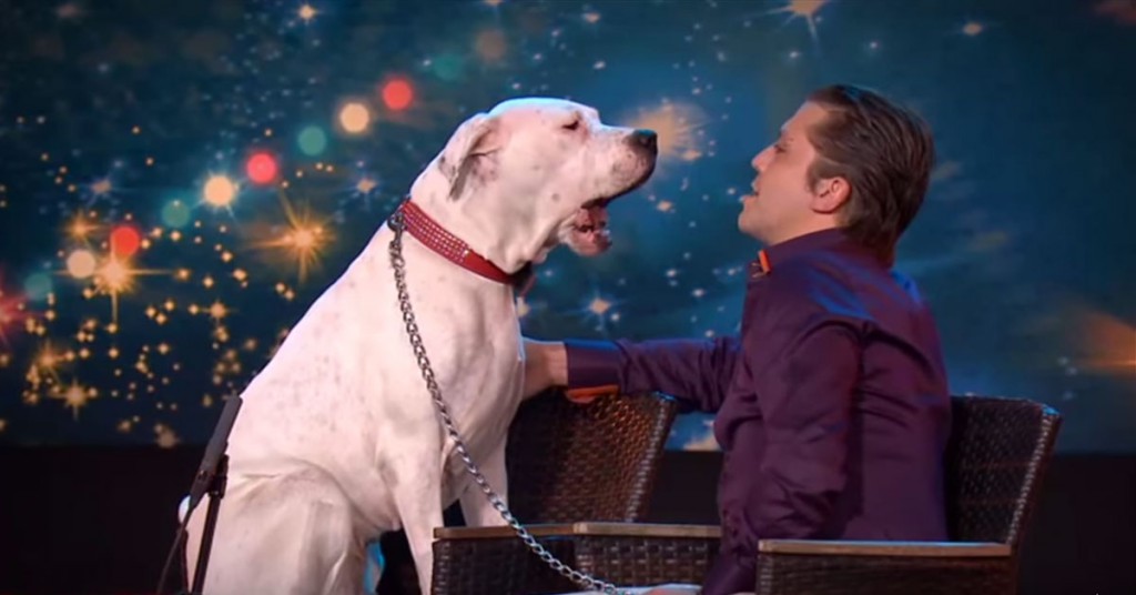 Dommerne trodde knapt sine egne øyne da de så hva hunden gjorde på scenen.