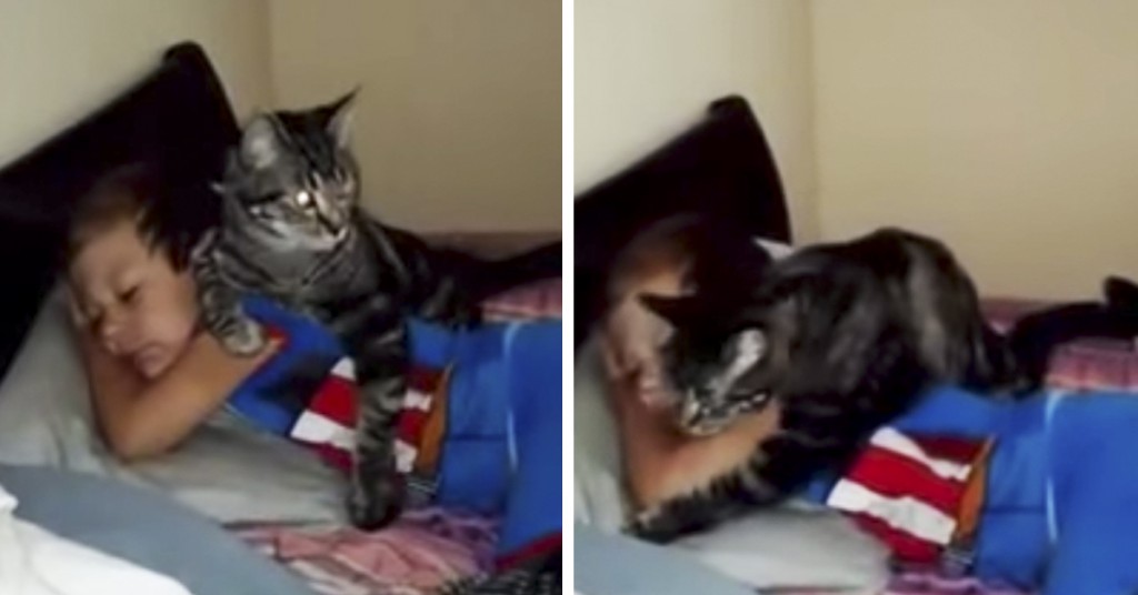 De har ikke sett hverandre på et par dager. Når de møtes igjen gjør katten dette
