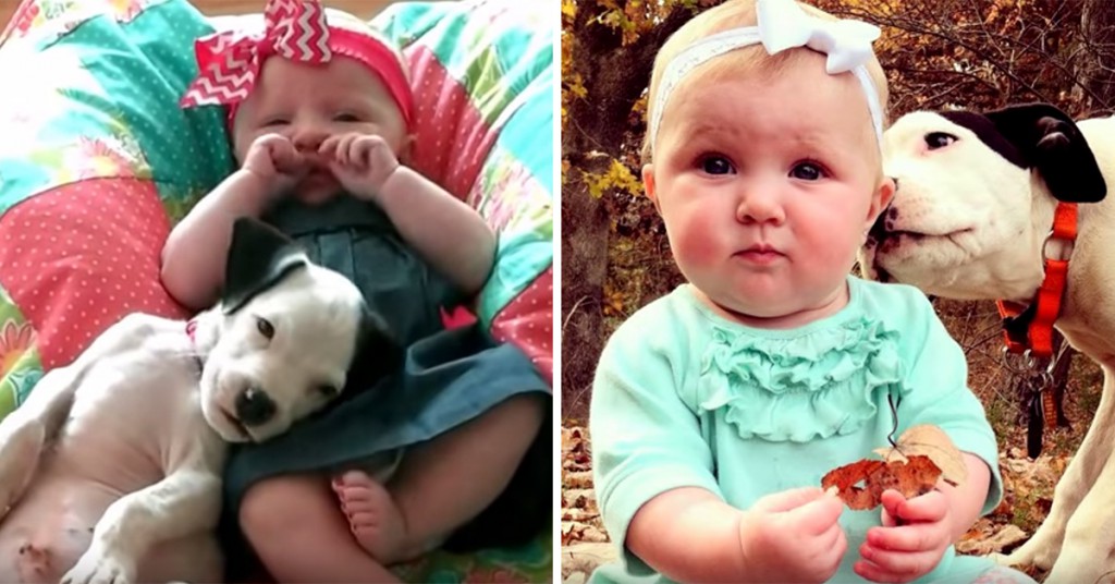 Disse bestevennenes første år ble fanget opp på film og resultatet er hjertesmelt Baby og valp er bestevenner - Smud.no