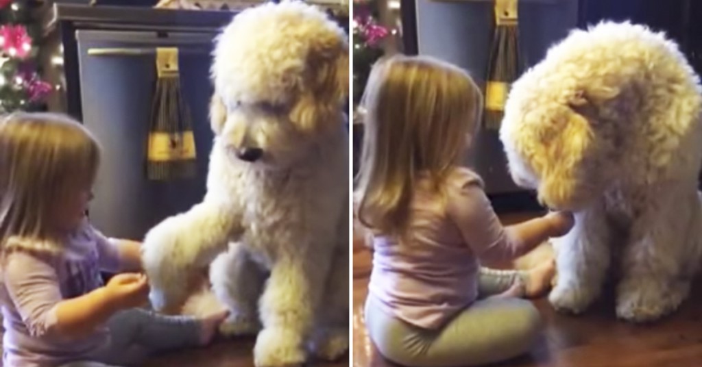 Den lille jenta prøver å lære hunden noe. Far får den nydelige hendelsen på film.