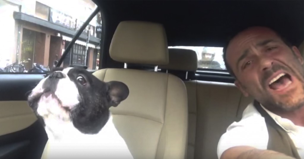 Eieren begynner å synge en kjent låt i bilen. Følg godt med på hunden.