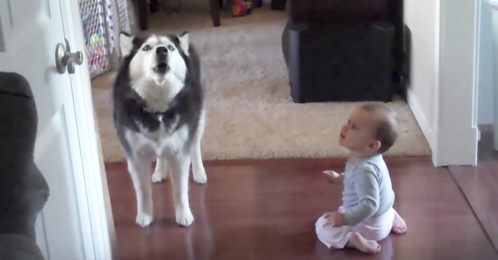 Babyen og hunden slår til med en supersøt duett