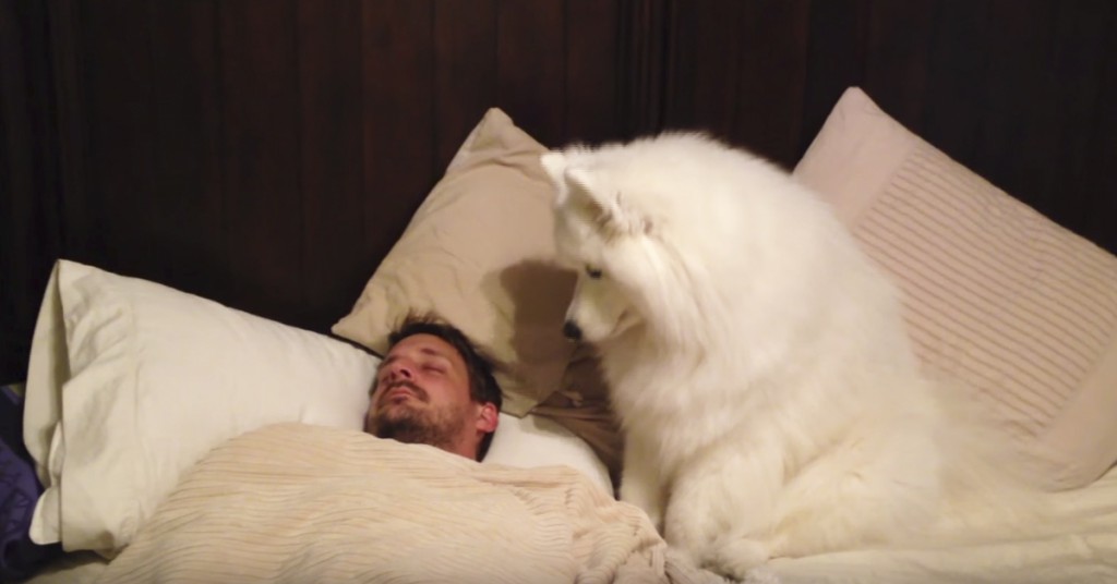 Matfar sover søtt, men Lexi vil gå tur. Det hunden gjør får matmor til å le godt!
