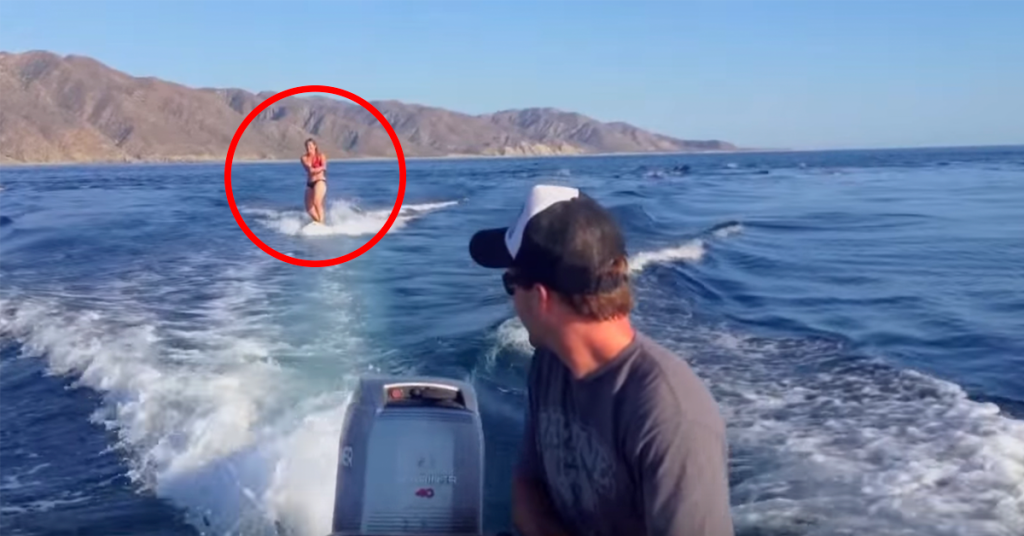 Hun står på wakeboard i sjøen når hun plutselig ser noe utrolig