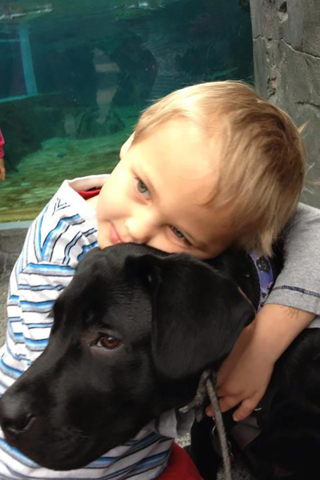 Facebook / Saving Luke - Luke and Jedi 