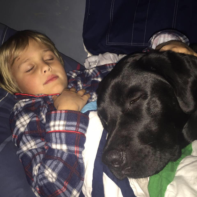 Facebook / Saving Luke - Luke and Jedi 