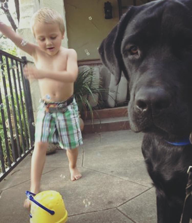 Facebook / Saving Luke - Luke and Jedi 