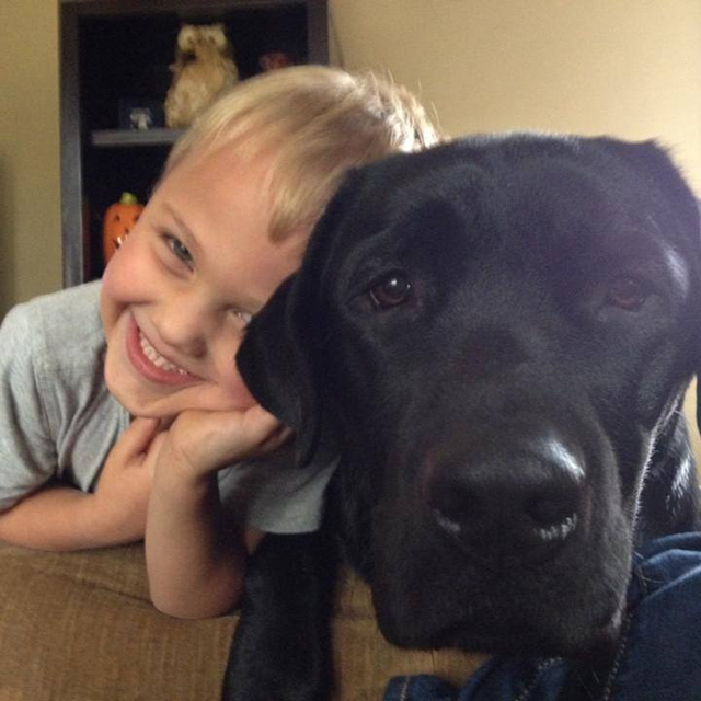 Facebook / Saving Luke - Luke and Jedi 