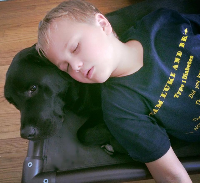 Facebook / Saving Luke - Luke and Jedi 