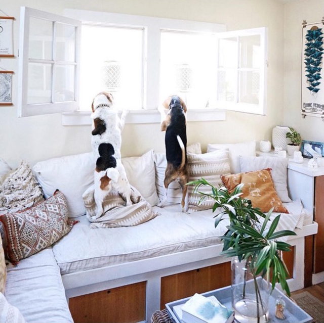 Instagram / whitneyleighmorris