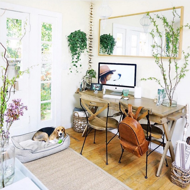 Instagram / whitneyleighmorris