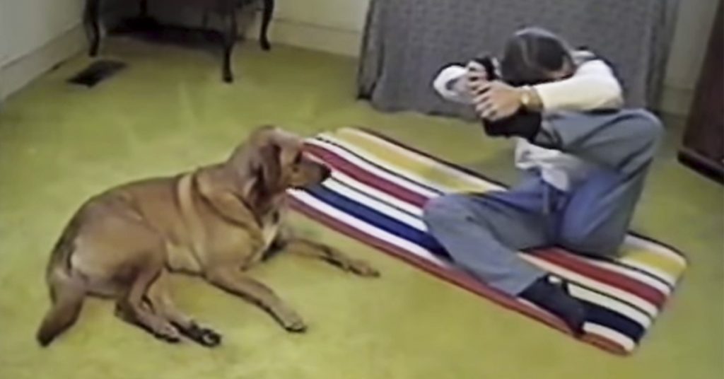 Hun prøver på en vanskelig yogastilling. Måten hunden reagerer på er fantastisk