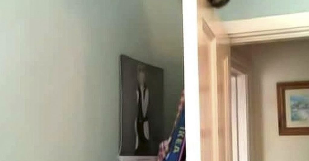 Matmor brukte to timer på å lete etter katten, men bare vent til du ser hvor den var